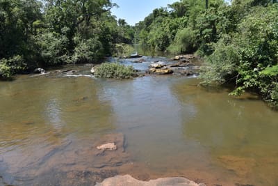 DSC_8753.JPG