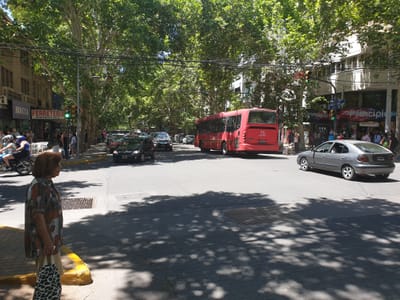 20191116_124411.jpg