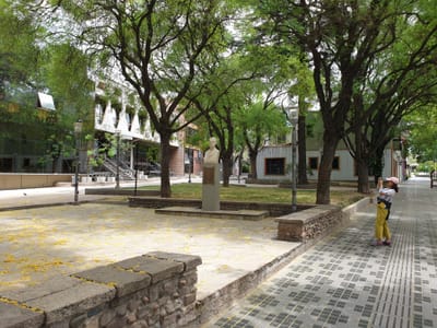 20191118_132106.jpg