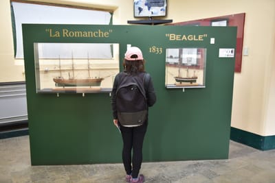 DSC_8776.JPG