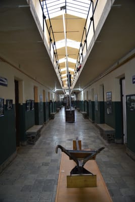 DSC_8783.JPG