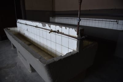 DSC_8787.JPG