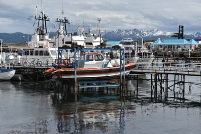 DSC_8799.JPG