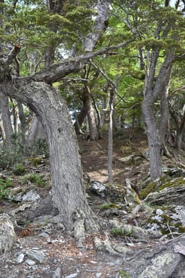 DSC_8820.JPG