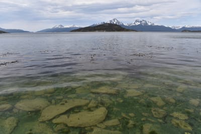 DSC_8823.JPG