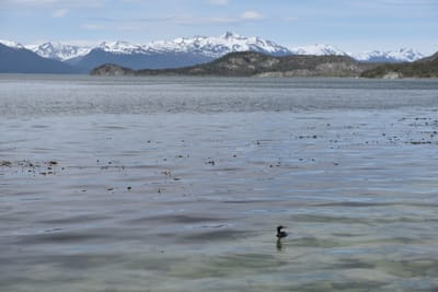 DSC_8825.JPG