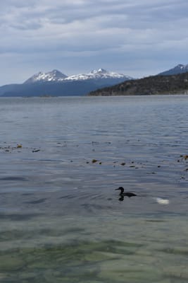 DSC_8826.JPG