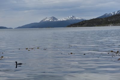 DSC_8828.JPG