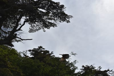 DSC_8830.JPG