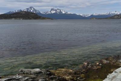 DSC_8832.JPG