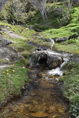 DSC_8835.JPG