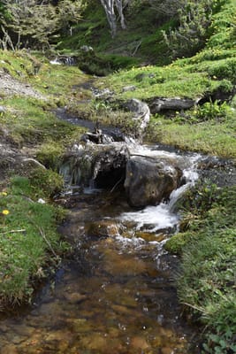 DSC_8836.JPG