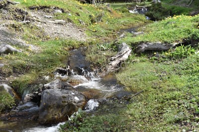 DSC_8837.JPG