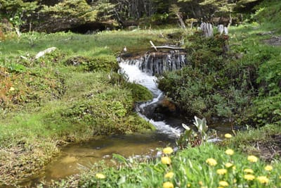 DSC_8838.JPG