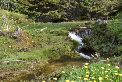DSC_8839.JPG
