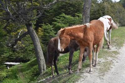 DSC_8842.JPG