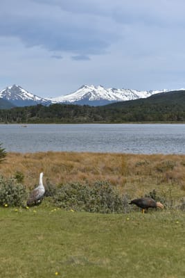 DSC_8856.JPG