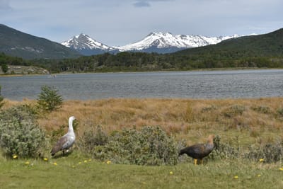 DSC_8857.JPG