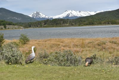 DSC_8858.JPG