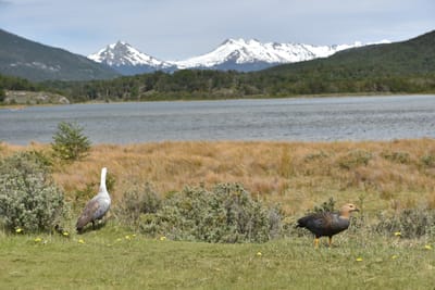 DSC_8859.JPG