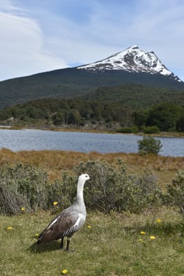 DSC_8862.JPG