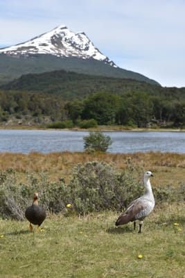 DSC_8866.JPG