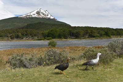 DSC_8867.JPG