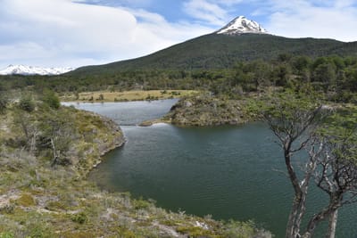 DSC_8870.JPG