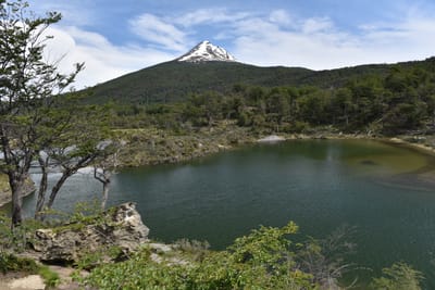 DSC_8871.JPG