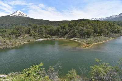 DSC_8872.JPG