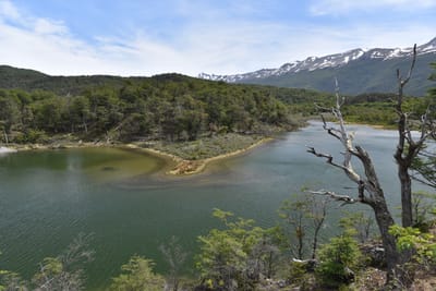 DSC_8873.JPG