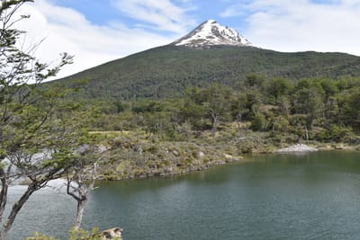 DSC_8874.JPG