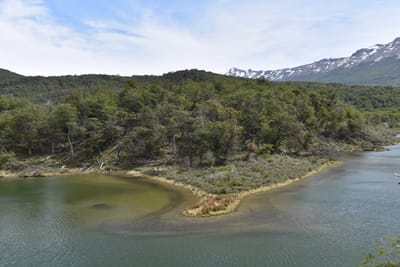 DSC_8876.JPG