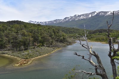 DSC_8877.JPG