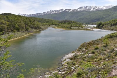 DSC_8880.JPG
