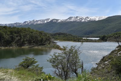 DSC_8884.JPG