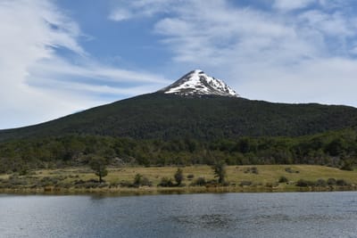 DSC_8885.JPG
