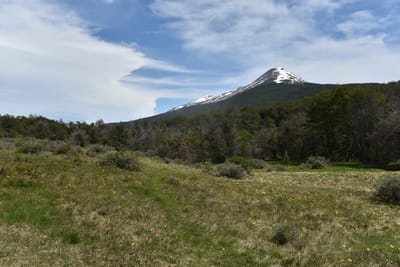 DSC_8887.JPG