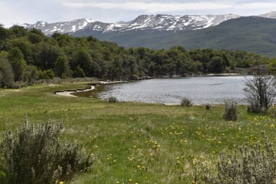DSC_8892.JPG