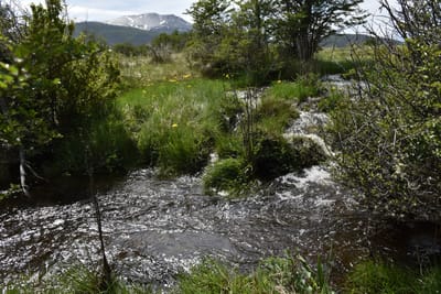 DSC_8895.JPG