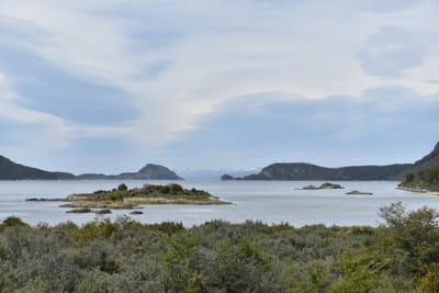 DSC_8900.JPG