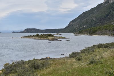 DSC_8902.JPG