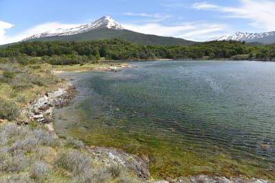 DSC_8904.JPG
