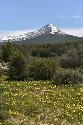 DSC_8905.JPG