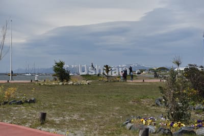 DSC_8913.JPG