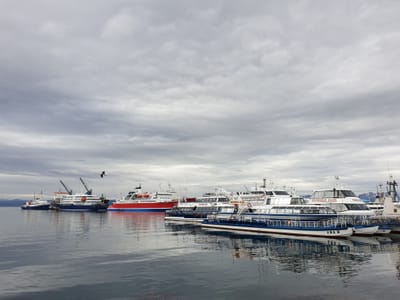 20191202_091634.jpg