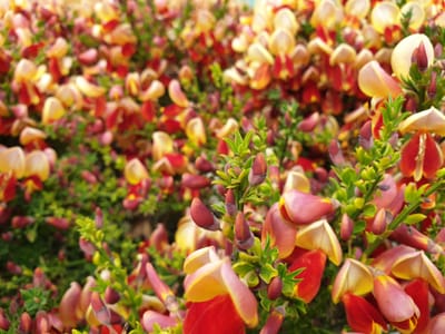 20191202_141635.jpg