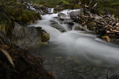 DSC_1667.JPG