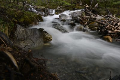 DSC_1668.JPG