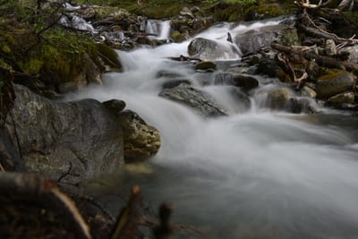 DSC_1669.JPG